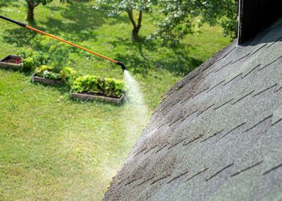 Roofline Cleaning