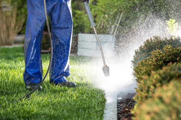 Cost of Curb Cleaning in Escondido