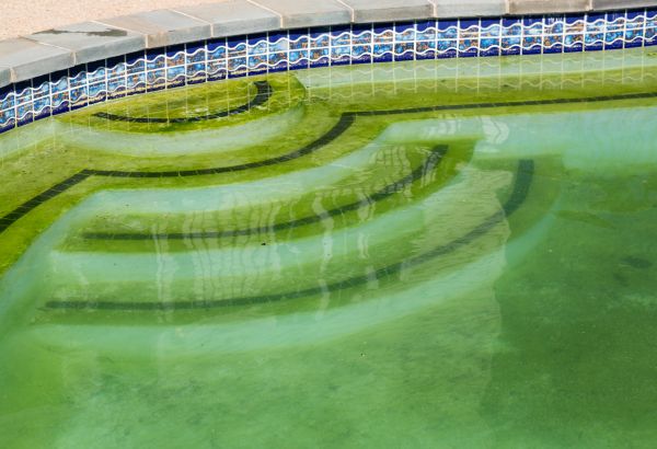 Pool Deck Algae Removal in Escondido