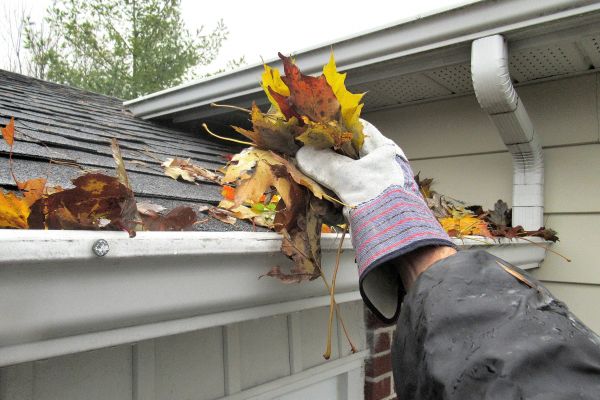 Cost of Eaves Cleaning in Escondido