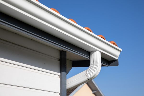 Roofline Cleaning in Escondido