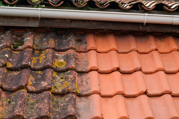 Industrial Roof Cleaning in Escondido