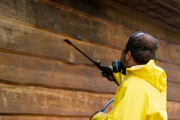 Cedar Siding Washing in Escondido